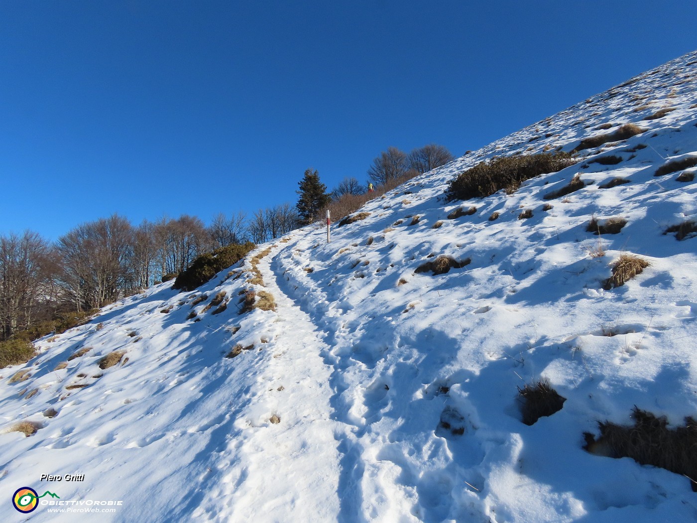 38 Saliamo allo Zuc di Valmana pestando neve ghiacciatina.JPG